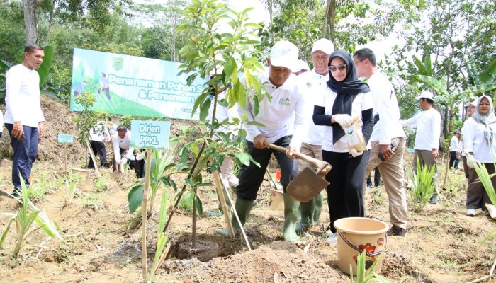 PLN NP, KLHK, Pemda Trenggalek, dan Masyarakat Sukorejo Peresmikan Agroforestri untuk Pemulihan Lingkungan dan Ekonomi