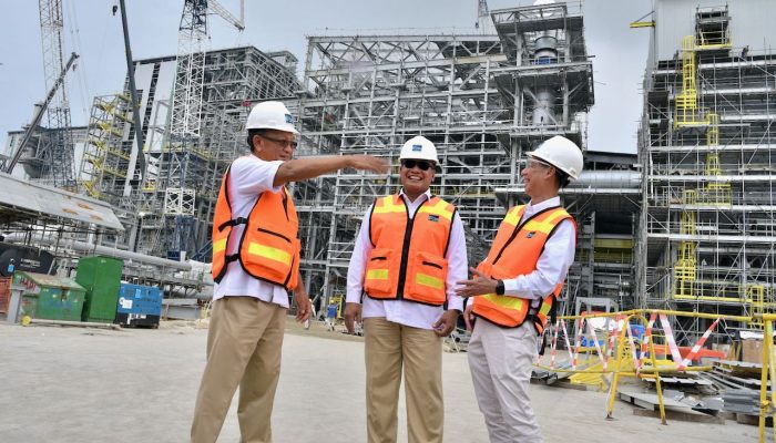 Menteri ESDM Tinjau Progres Pembangunan Smelter PT Freeport Indonesia di Gresik