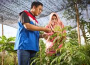 PGN Group Borong 10 Penghargaan PROPER 2024, Bukti Konsistensi dalam Keberlanjutan