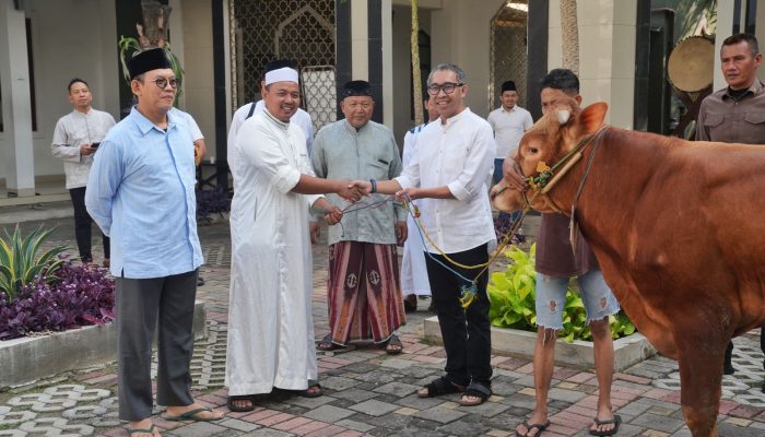 Semangat Berbagi Idul Adha, PGN Group Kurbankan 955 Hewan untuk Masyarakat