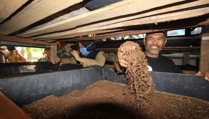 Dari Limbah ke Pupuk dan Cacing, PLN NP Buktikan Energi Bisa Berdayakan Masyarakat