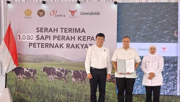 JAPFA dan Greenfields Perkuat Industri Susu Lokal dengan Distribusikan 1.000 Sapi Perah Bunting ke Peternak Rakyat