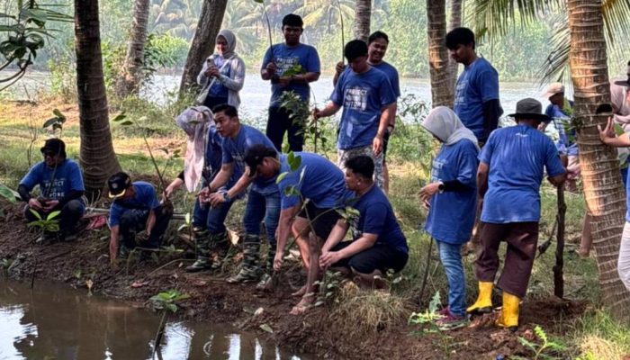 Pertamina: CSR Eco Tourism Village, Konservasi Tukik dan Mangrove Kili-Kili.