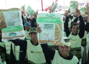 Syngenta Luncurkan Benih Padi Hibrida Ningrat NK2133 Tingkatkan Produktivitas Petani