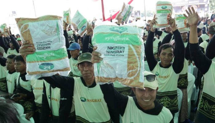 Syngenta Luncurkan Benih Padi Hibrida Ningrat NK2133 Tingkatkan Produktivitas Petani