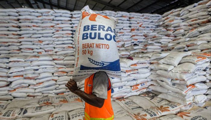 Aman hingga Akhir Tahun, Wamentan Tegaskan Stok Beras Nasional Mencukupi