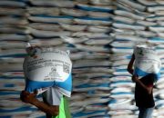Stok Pupuk Subsidi Aman hingga Akhir 2025, Pemerintah Optimistis Swasembada Beras