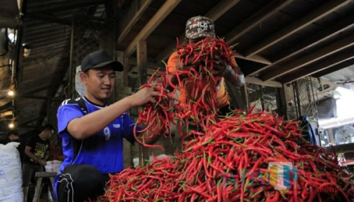Harga Cabai Keriting di Kediri Meroket Rp9.000