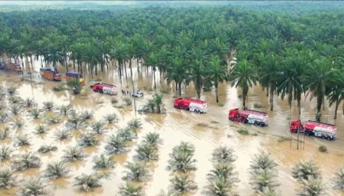 Biaya Pemulihan Pascabencana di Sumatra Diperkirakan Capai Rp51,82 Triliun