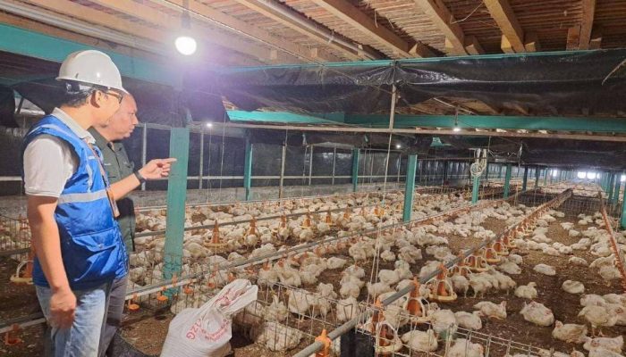 PLN Dukung Kebijakan Pemerintah, Tarif Listrik Triwulan I 2026 Tetap