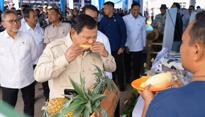 Perkuat Ketahanan Pangan, Presiden Prabowo Tinjau Panen Raya dan Teknologi Pertanian di Karawang