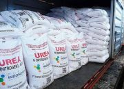 Pemerintah Siapkan 9,55 Juta Ton Pupuk Subsidi untuk Dukung Ketahanan Pangan