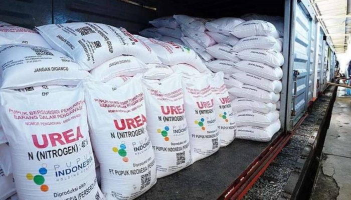 Pemerintah Siapkan 9,55 Juta Ton Pupuk Subsidi untuk Dukung Ketahanan Pangan