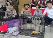 Satreskrim Polresta Sidoarjo Ungkap Perdagangan Satwa Langka Jaringan Internasional