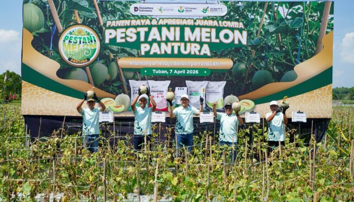 Dongkrak Kesejahteraan Petani, Petrokimia Gresik Berhasil Tingkatkan Produktivitas Melon Pantura hingga 10%