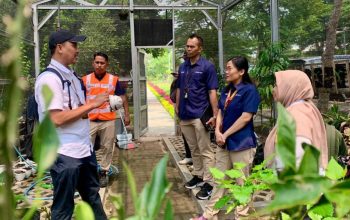 Kolaborasi TTL dan Kebun Raya Purwodadi, Wujudkan Pelabuhan Berbasis Keanekaragaman Hayati