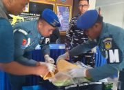 Bandara Juanda Gagalkan Pengiriman BBL Ilegal Senilai Rp1,1 Miliar