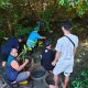 TPS Salurkan 3.000 Bibit Mangrove untuk Penghijauan Pesisir Sontoh Laut