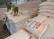 Indonesia Kantongi Potensi Ekspor Pupuk Urea Rp7 Triliun dari Australia
