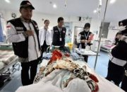 BPJS Kesehatan Ingatkan Jemaah Haji soal Pentingnya Kepesertaan JKN