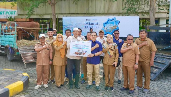 12 Sapi dan 21 Kambing Disalurkan PT Terminal Teluk Lamong kepada Warga Ring 1