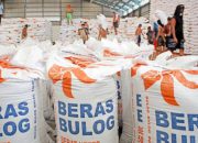 BULOG Serap 3,5 Juta Ton Beras, Capai 87 Persen Target Nasional dan Perkuat Swasembada Pangan