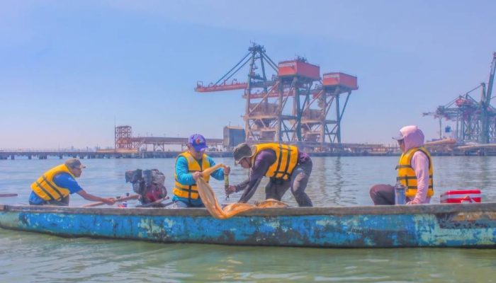 Dukung Pelabuhan Berkelanjutan, TTL Gandeng BRIN Teliti Biota Laut Teluk Lamong