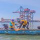 Dukung Pelabuhan Berkelanjutan, TTL Gandeng BRIN Teliti Biota Laut Teluk Lamong