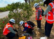 Komitmen Terminal Hijau, TTL dan BRIN Petakan Potensi Biodiversitas Pesisir