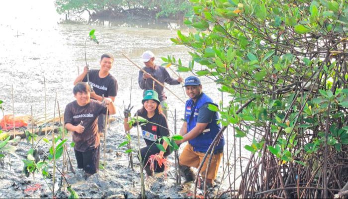 Program Donasi Oksigen, TPS Salurkan 3.000 Bibit Mangrove ke Tambak Sarioso