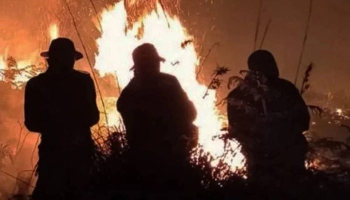 BPBD Tetapkan 4 Kecamatan Banyuwangi Rawan Karhutla