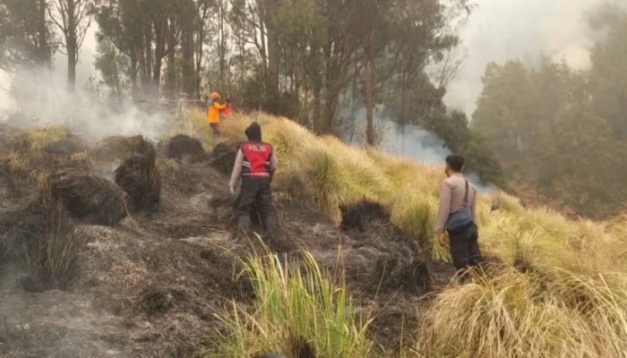 Kebakaran TNBTS Diusut, Kementerian Kehutanan Kerahkan Tim Ahli