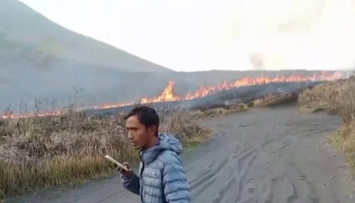 Kebakaran Gunung Bromo Makin Parah, Angin Kencang Bikin Api Bergerak ke Malang