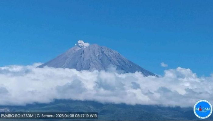 Gunung Semeru Erupsi, Warga Dilarang Beraktivitas hingga Radius 13 Kilometer