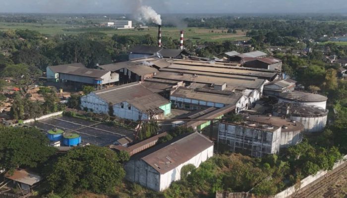 PG Ngadiredjo Jaga Penyerapan Tebu Petani, Perkuat Ekosistem Gula Nasional