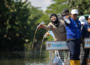 3,12 Ton Sampah Diangkut dari Kali Tebu, Momentum Hari Sungai Sedunia 2026
