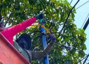 Surabaya Bersih dari Tiang dan Kabel Ilegal, Pemkot Lanjutkan Penertiban Bertahap