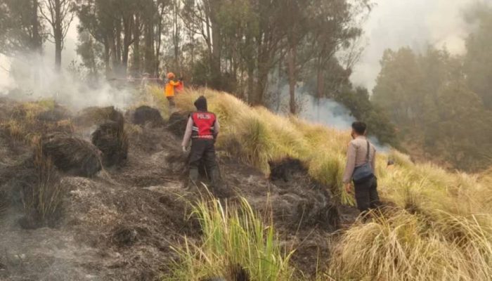Karhutla Jawa Timur 2026: TN Baluran Paling Parah, Tahura Raden Soerjo Terdampak