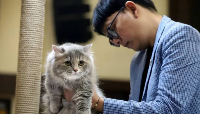 Universitas Brawijaya Gelar Prana Satwa 2026, Perkuat Edukasi dan Potensi Peternakan